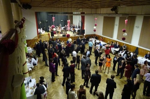 Výtěžek z plesu Dobré vůle pomůže zdravotně postiženým dětem