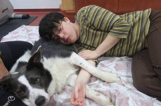 Uživatelé Nesy si oblíbili canisterapii