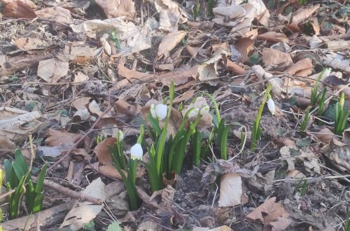 Už jste navštívili údolí Chlébského potoka