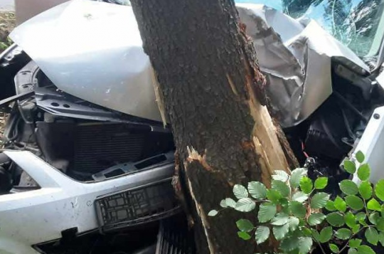 Řidička projela plotem