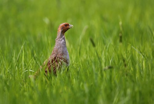 Podpisem petice můžete podpořit záchranu naší krajiny