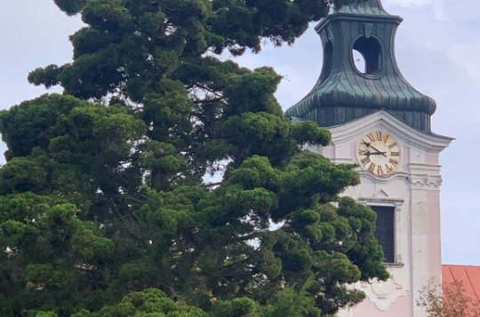 Harmonia Laudes zahrají v Tasově