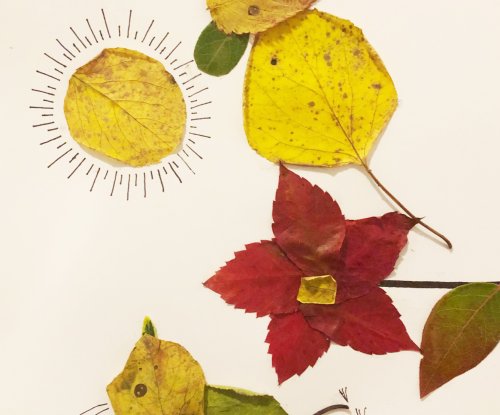 Základní umělecká škola pořádá talentové zkoušky