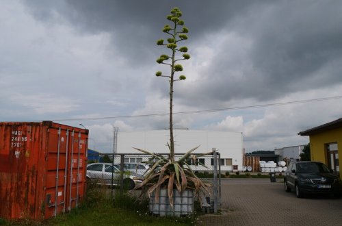Kousek Mexika v Meziříčí