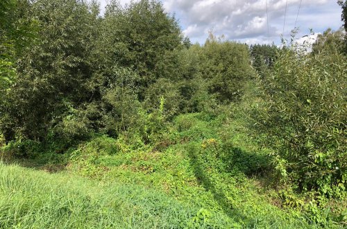 U Hrbova se začíná budovat nový rybník