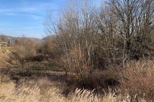 Studie ukáže, co s roklí