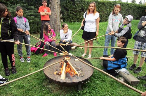 V divočině na Ostrůvku se nikdo neztratil