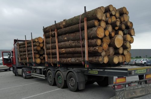 Jedenáct hlídek kontrolovalo „kladaře“