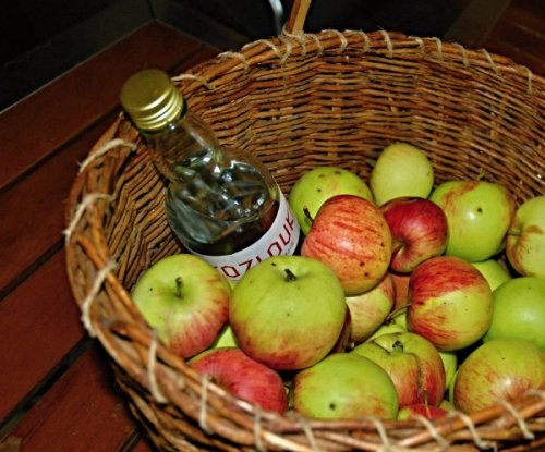 Na koštu pálenek ochutnáte třeba slivovici, jablkovici i likéry