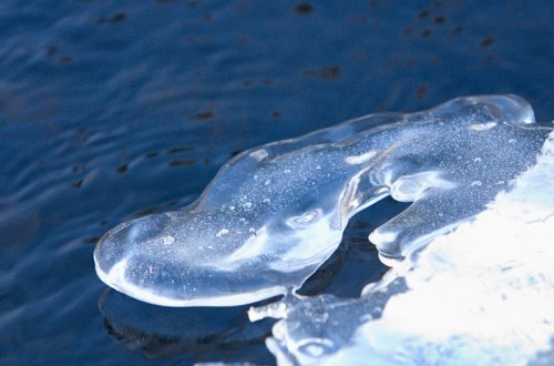 Fotosoutěž Vysočina v pohybu zná vítěze 