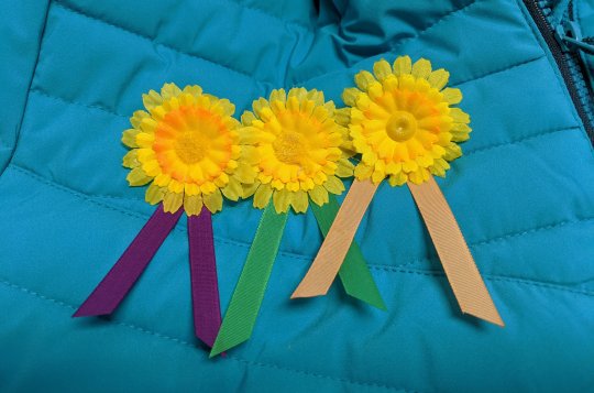 Žluté květy vykvetou ve středu 10. května