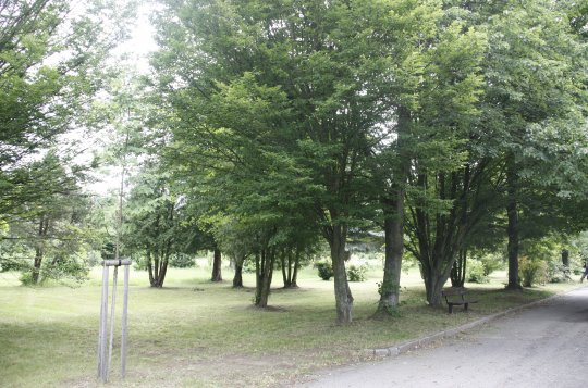 Hřbitov na Karlově se bude rozšiřovat