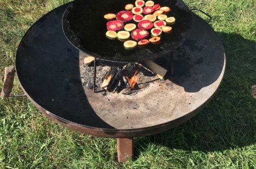 Zahradní terapie je přínosem jak v Rose, tak i v Nese