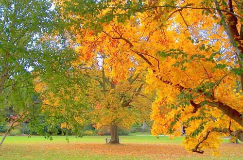 Centrum Kociánka nabízí podzimní pobyt