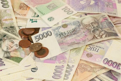 Návrh na rozdělení přebytku hospodaření za rok 2020