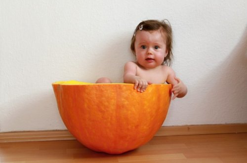 V Rudíkově se urodila rekordní dýně