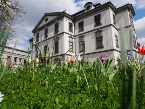 Muzeum nabídne noční prohlídky