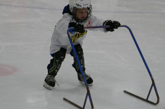 Veřejné bruslení v prosinci