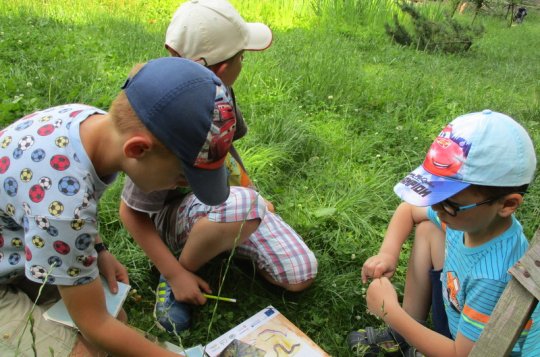 Žáci ze Lhotek zkoumali život v lese