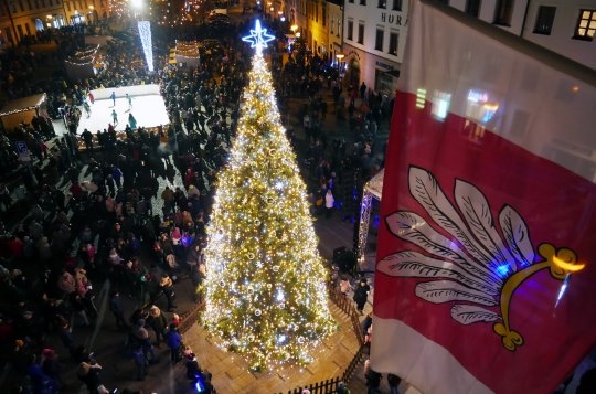 Hledá se nejkrásnější vánoční strom. Hlasujte pro ten náš 