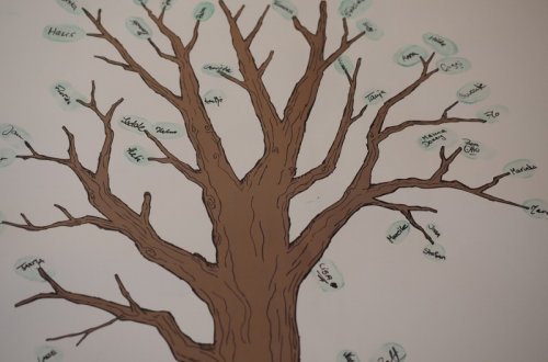 DNA genealogie ve Velkém Meziříčí