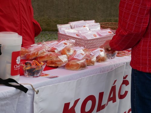 Koláč pro hospic bude pro Barborku