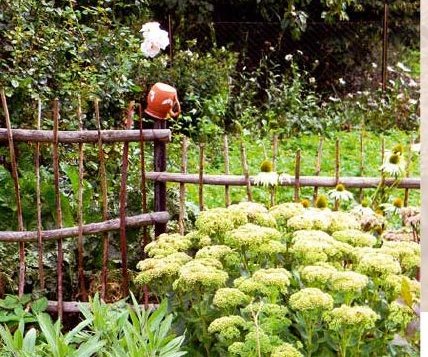 Do celoevropské akce se zapojí certifikované přírodní zahrady v Kraji Vysočina