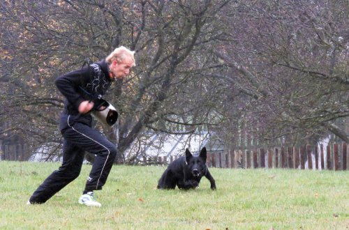 Obranáři cvičili v Martinicích