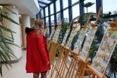 Foyer chirurgického pavilonu obsadil Mirek Dušín s Rychlými šípy. Mluví i ukrajinsky