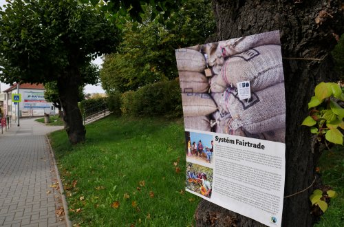Jak se pěstuje káva? To přiblížila výstava u gymnázia