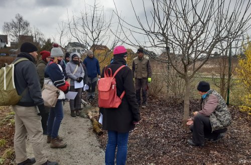 Naučte se řezat ovocné stromy