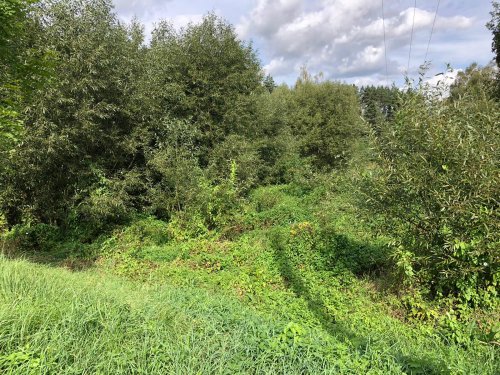 U Hrbova se začíná budovat nový rybník