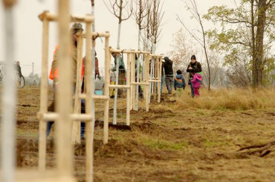 Podpořte zeleň v krajině