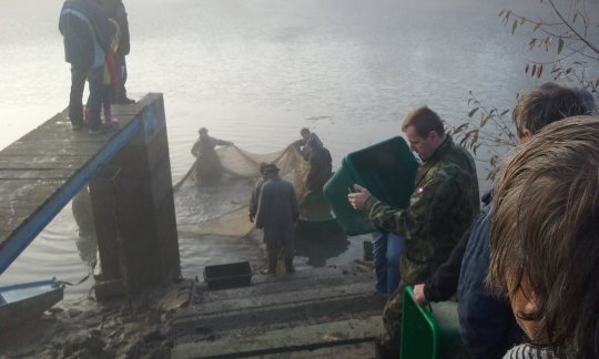 V Šeborově opět proběhl velice příjemný výlov rybníka 