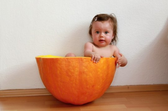 V Rudíkově se urodila rekordní dýně