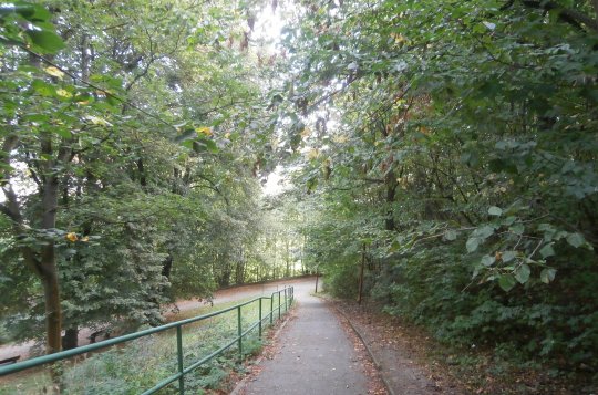 Dbejte zvýšené opatrnosti v Riegrových a Čechových sadech