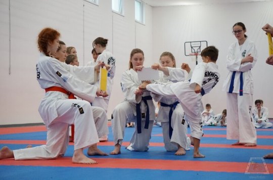 Zkuste si taekwon-do