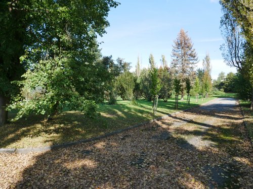 U hřbitova na Karlově bude nový plot