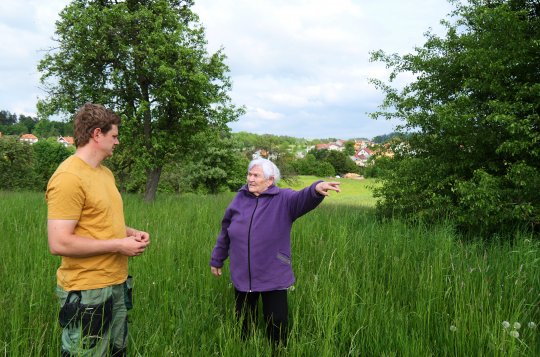 Dobrovolníci ve Lhotkách vysadili hrušně po předcích