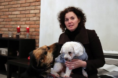 Všechny své psy si zapíšu