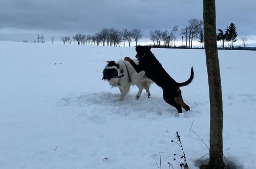 Zastupitelstvo rozdělí peníze z grantu Zdravého města
