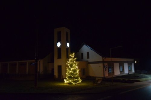 Při rozsvěcení stromu se vybíralo na dobrou věc
