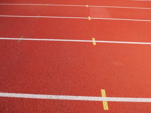 Umělka se zpřístupní veřejnosti