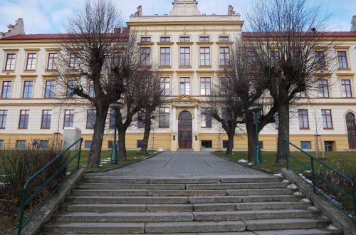 Gymnázium nabízí online návštěvu