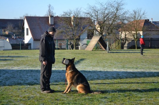 Kynologické zkoušky složilo osm psů