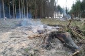 Hasiči znovu vyjížděli k požárům lesního porostu