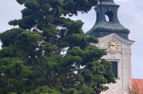 Harmonia Laudes zahrají v Tasově