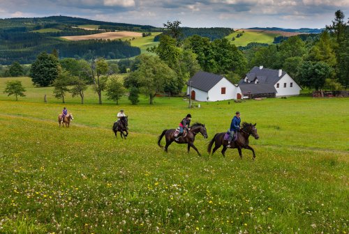 Vysočina je třetím nejoblíbenějším krajem