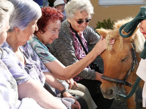 Poníci přijeli potěšit seniory