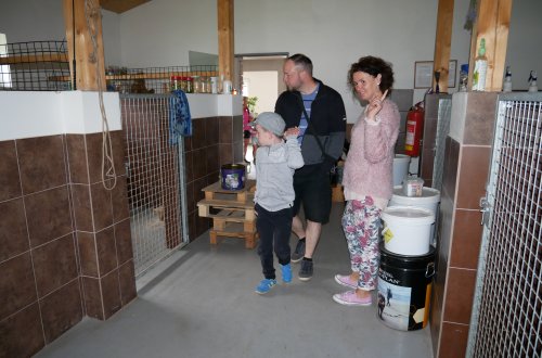 Dva němečtí ovčáci vítali v psím útulku